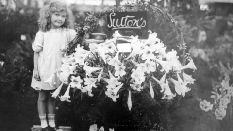 Southport Flower Show returns as historic photos celebrate 98 years of UK’s biggest independent flower show