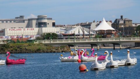 People invited to cheer on the Purple Flamingo, Purple for Polio Pedalo Race in Southport this Sunday