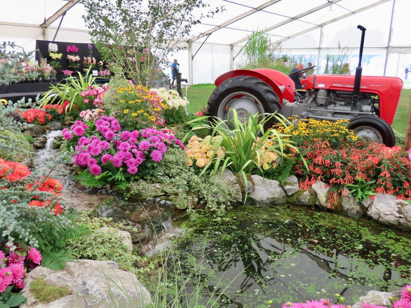 Southport Flower Show. Photo by Andrew Brown Media
