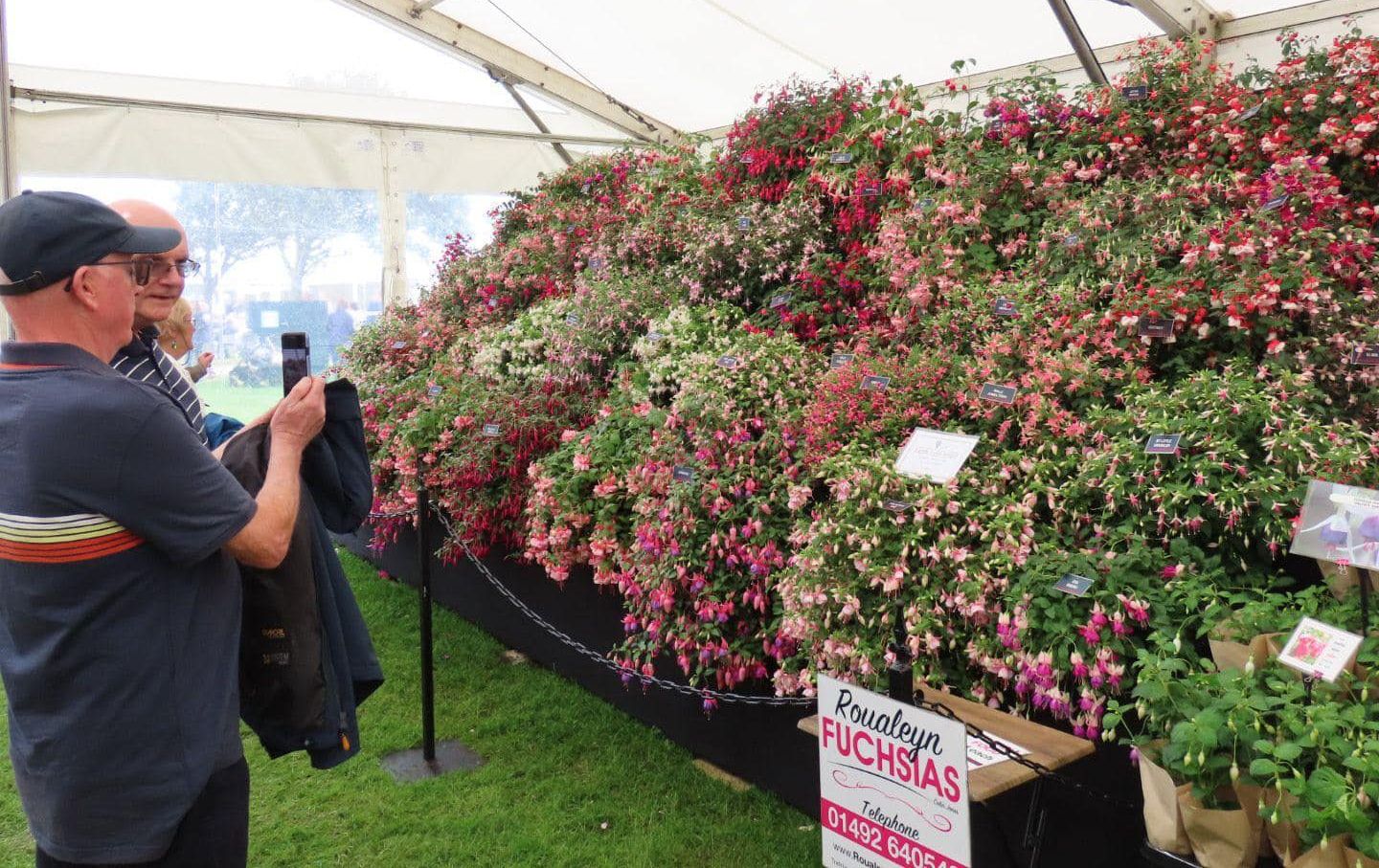 Southport Flower Show. Photo by Andrew Brown Media