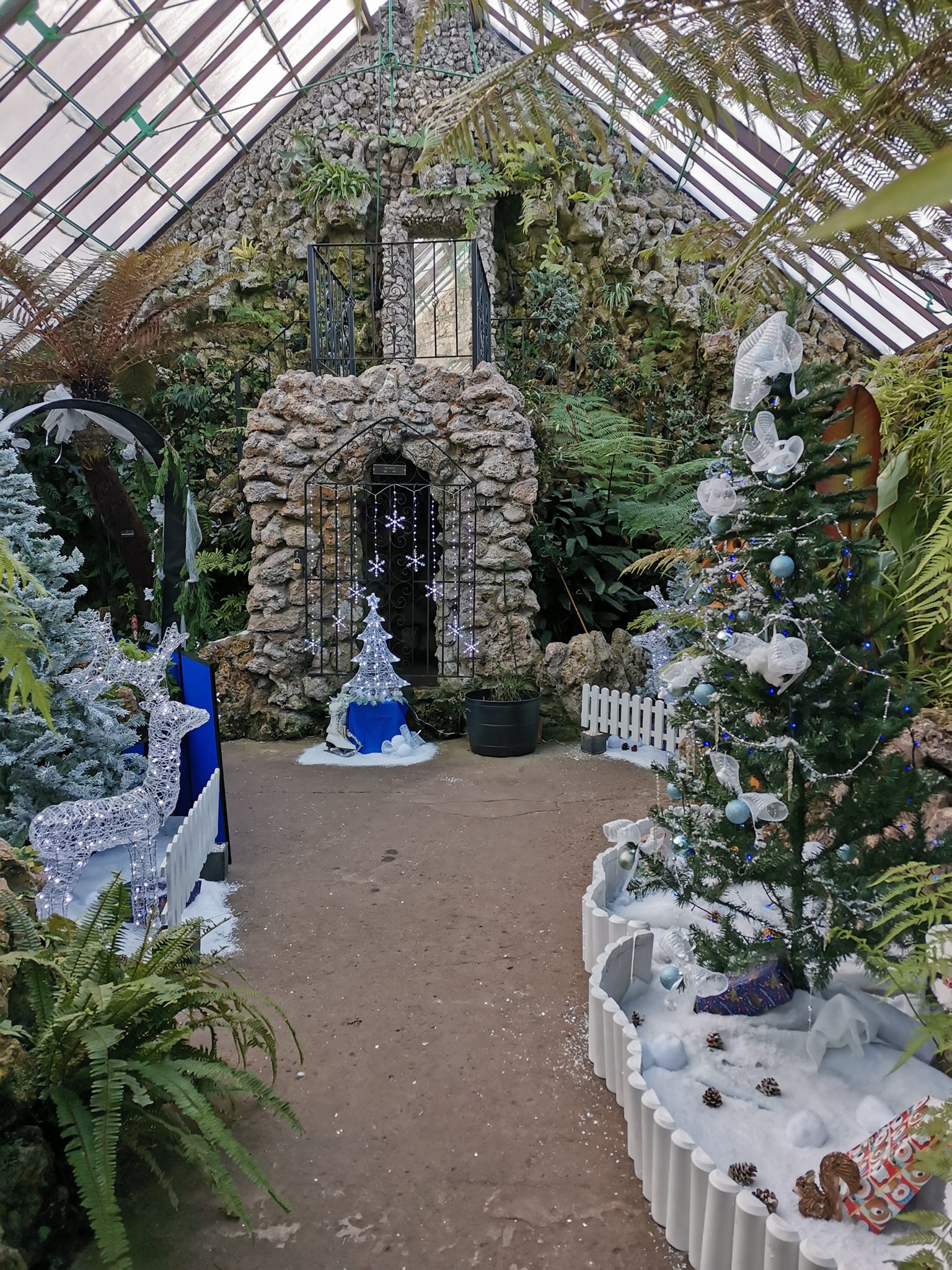 The Fernery looking festive ready for the Botanic Christmas Fair