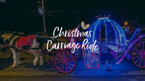 New Christmas Carriage Rides added by Southport BID due to high demand