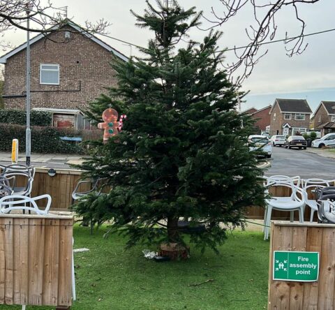 Forty Seven bar in Southport invites people to decorate a Christmas tree and support those in need