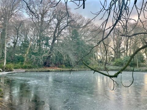 Safety warning over icy weather by Sefton Council after three die in Solihull lake tragedy