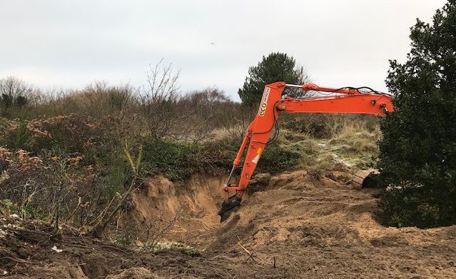 Machinery undertaking removal work at Birkdale Sandhills Local Nature Reserve. Photo by Green Sefton