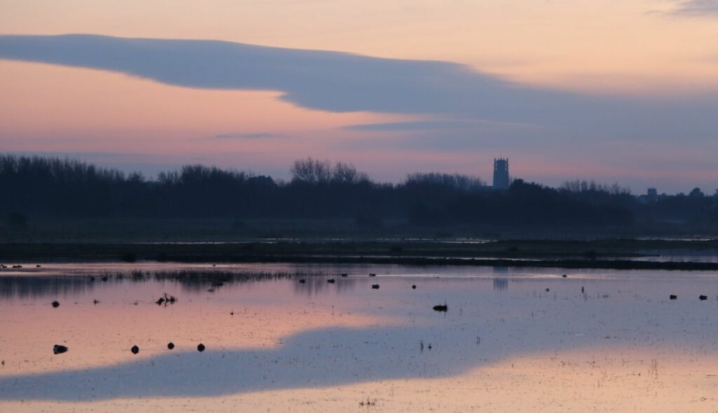 Winter view from Nel's hide in Marshside in Southport. Photo by Martin Campbell