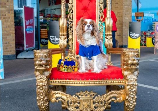 Pet owners in Southport are being invited by Jollyes - The Pet People to enjoy the Coronation of King Charles III with a right Royal Pawty