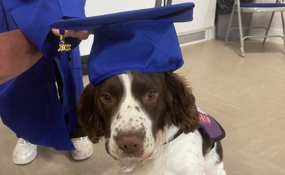 Bruno the Anxiety Dog