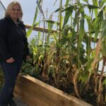 Kathryn Casserley, Community Programme and Engagement Manager at Southport Corps stands with the corn that has been grown in the community garden