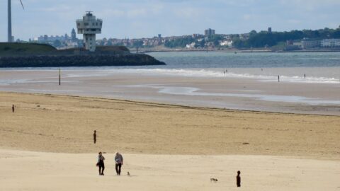 DEFRA confirms bird flu cases along Sefton coast as urgent guidance given to beach goers