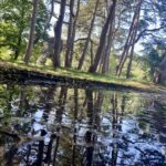 A scenic photo of the Botanic Gardens in Churchtown in Southport. Photo by Andrew Brown Stand Up For Southport