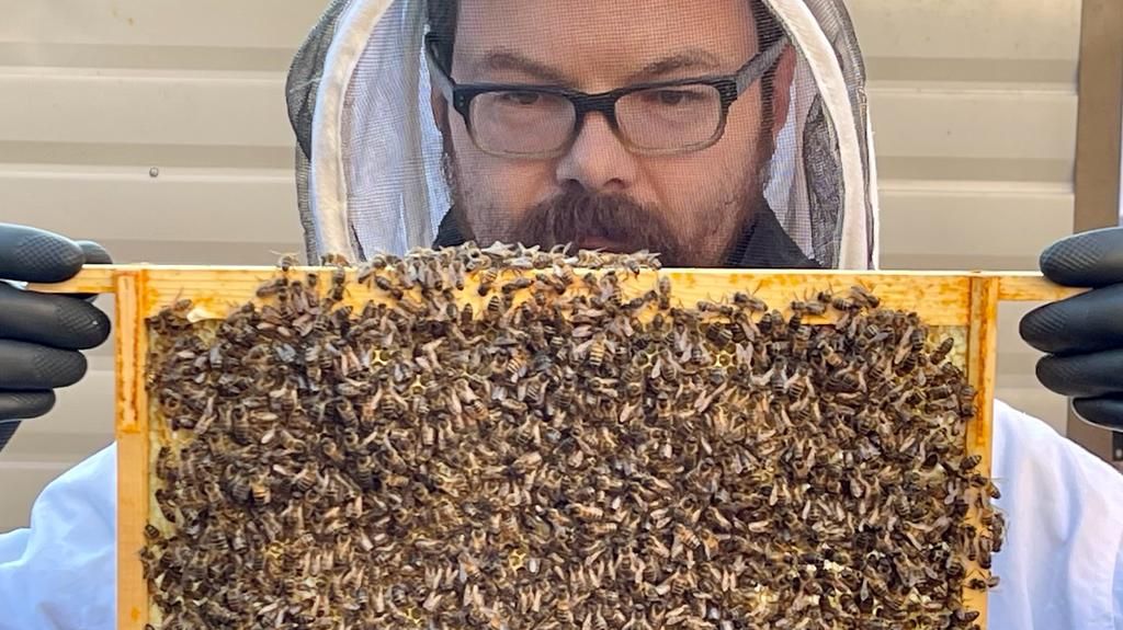 Anthony and Larissa Duffey, who own the Sunnyside Guest House in Southport, have been awarded the coveted Gold Award by Green Tourism. The couple have spent the last 12 months learning to become beekeepers and cultivate their own beehives to make home-made honey for guests