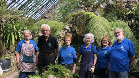Families can discover 150 year old secrets of Botanic Gardens Fernery at Heritage Open Day