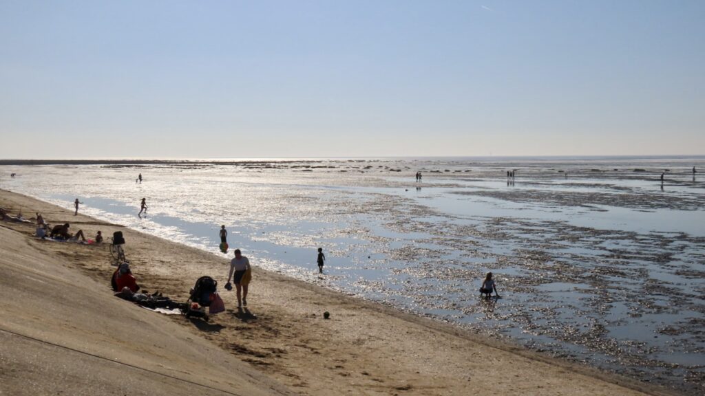 A scenic photo of a sunny day at Southport Beach. Photo by Andrew Brown Stand Up For Southport
