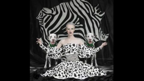 Cruella de Vil and her Dalmatians sure to be spotted at Southport Santa Sprint for Queenscourt Hospice