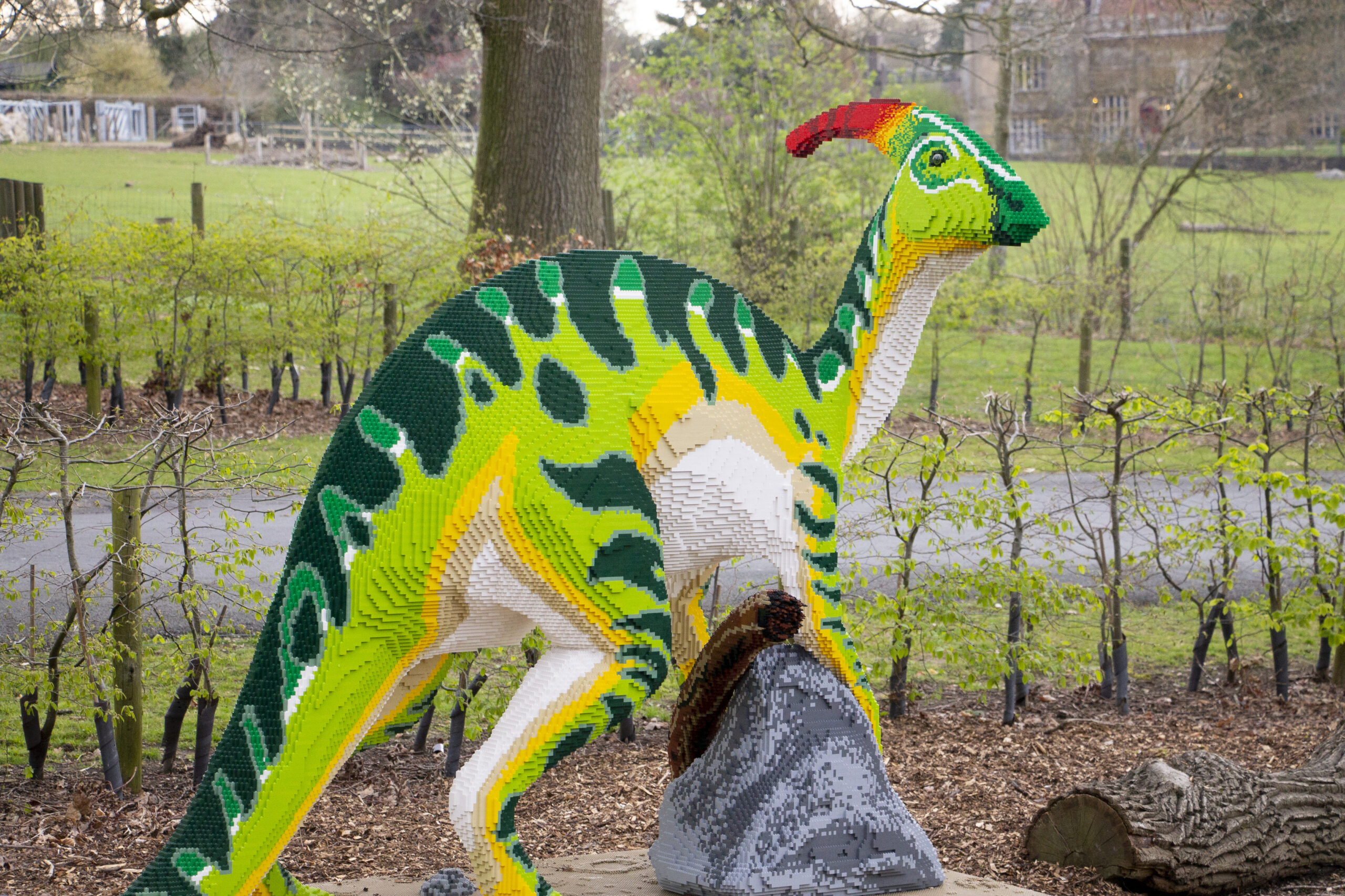 Southport will become DinoTown with a series of Bricklive Brickosaurs in an initiative by Southport BID. The Parasaur
