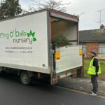 Queenscourt Hospice volunteers have begun their collection of Christmas trees around the region