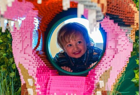 DinoTown Southport is roar-some with 15 brick-built dinosaurs to discover