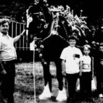 Visitors to the Southport Game and Country Fayre in 1989. Photo Southport Visiter