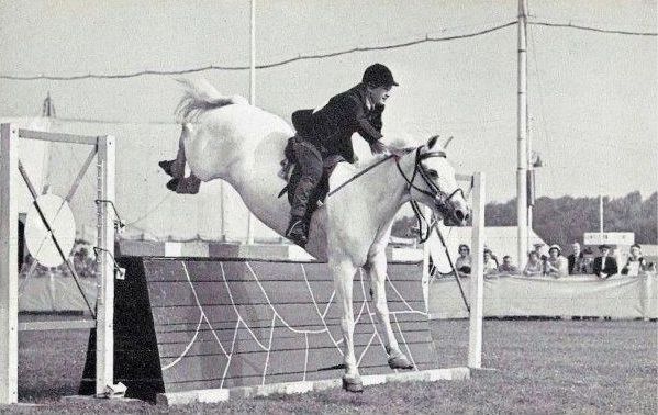 Show jumping is returning to Southport Flower Show. Show jumping at Southport Flower Show in the 1970s
