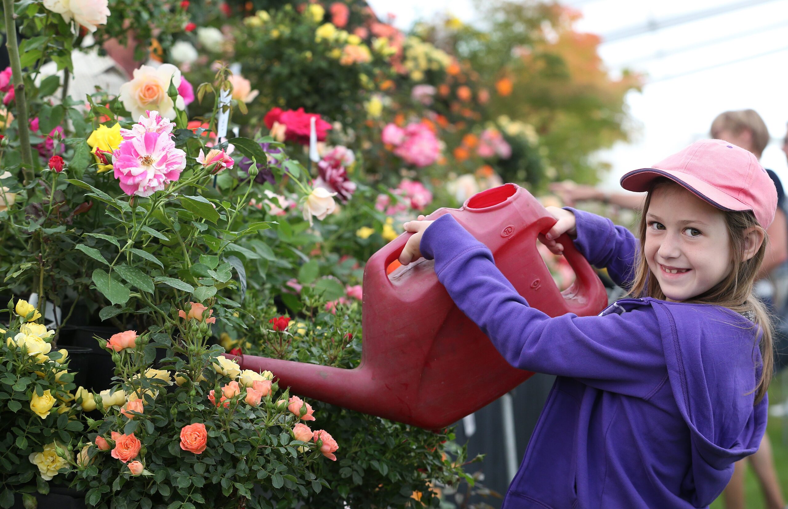 Southport Flower Show.  Photo by Southport Flower Show