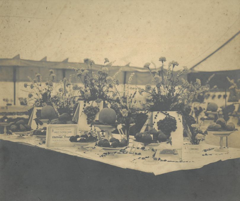 This exhibit was awarded First Prize and a Silver Challenge Trophy for a Decorated Table of Fruit at the 1924 Southport Flower Show, and was exhibited by His Grace The Duke of Newcastle. Photo by Southport Flower Show