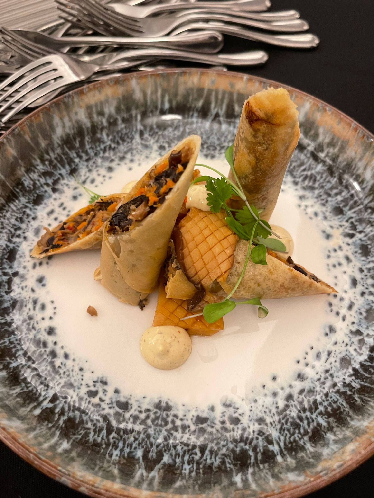 Wild Mushroom spring roll with a truffle mayonnaise at Harry's rooftop bar and terrace at The Grand Southport