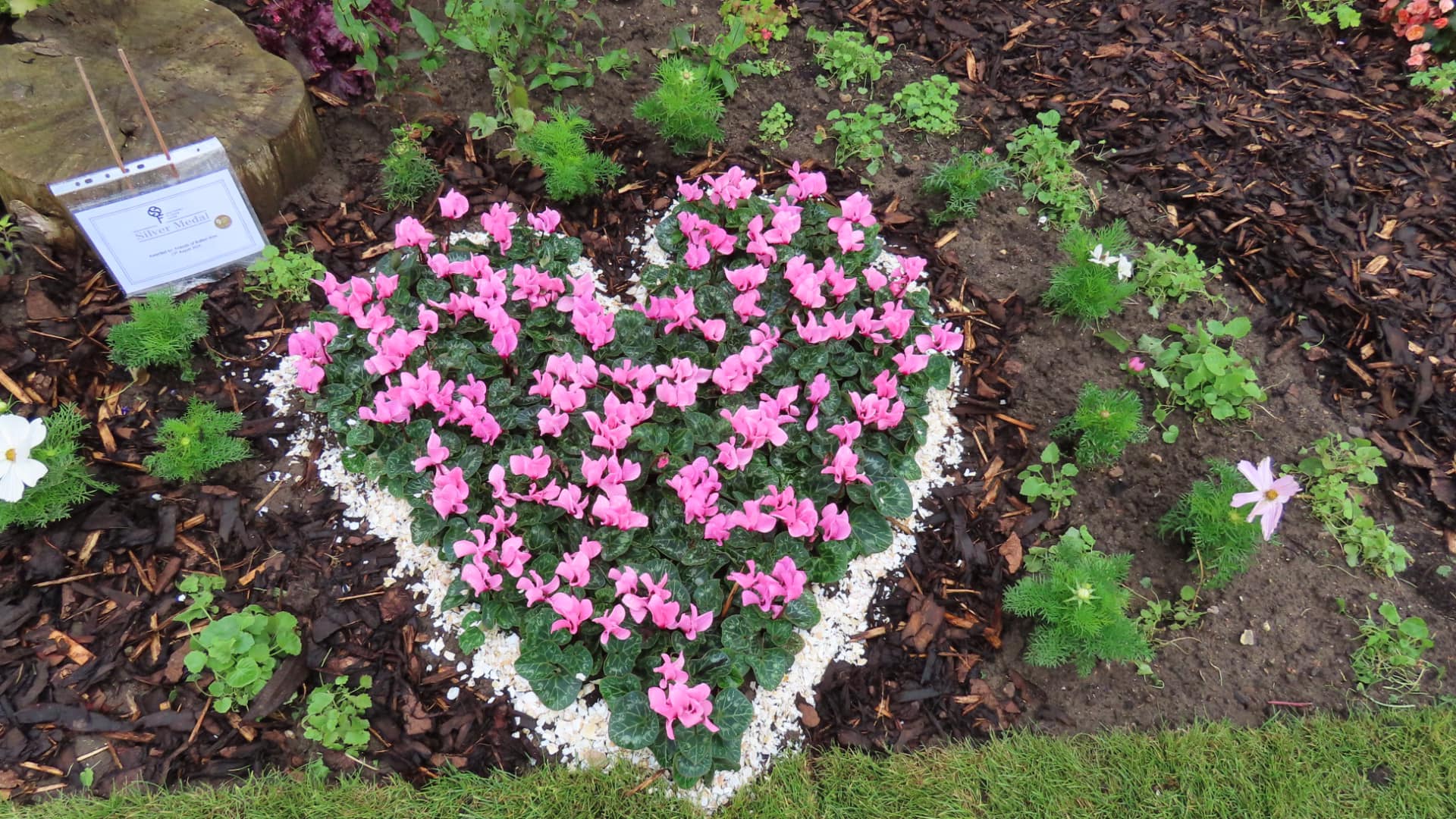 There were lots of tributes at Southport Flower Show to the girls who were killed and those injured in the recent tragedy on Hart Street