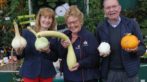 Mammoth Onion growers who exhibited at first Southport Flower Show in 1924 win Large Gold Medal