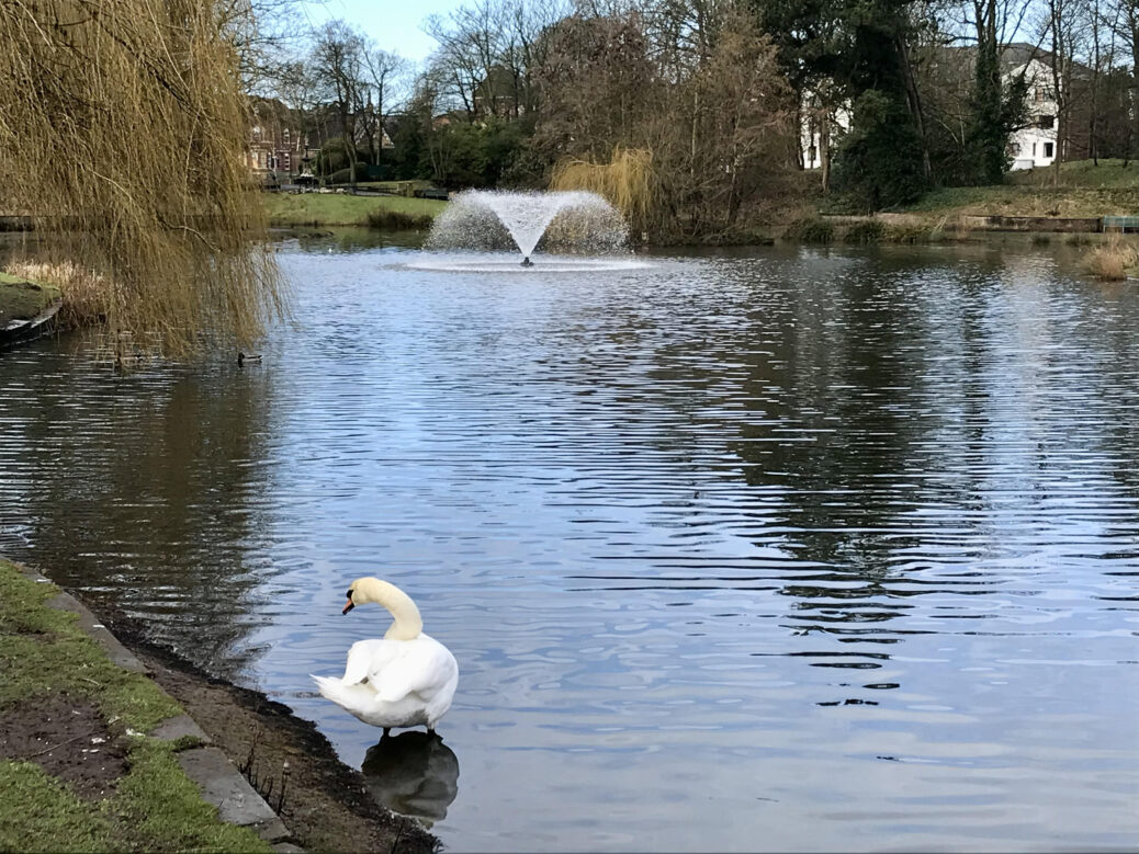 Hesketh park in Southport. Photo by Andrew Brown Stand Up For Southport