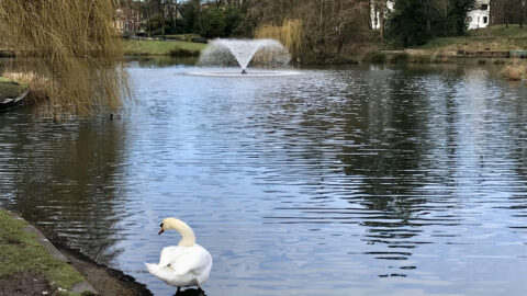 Volunteers sought to improve sensory garden at Hesketh Park in Southport