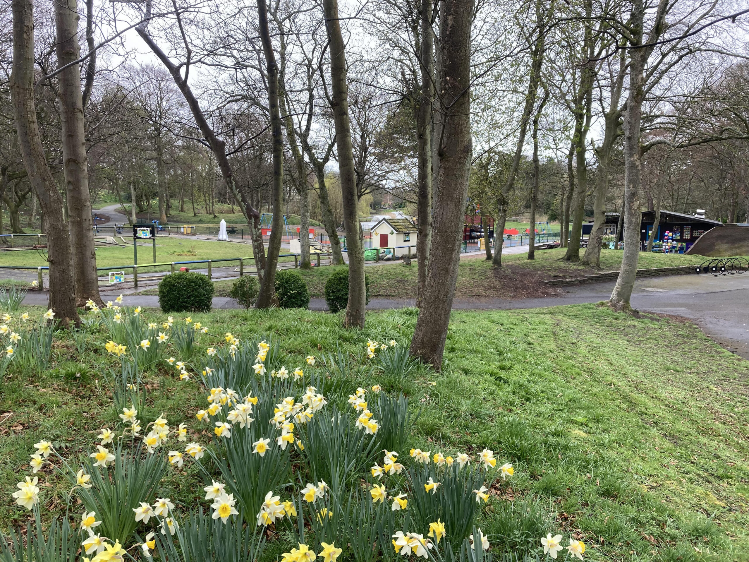 Hesketh park in Southport. Photo by Andrew Brown Stand Up For Southport