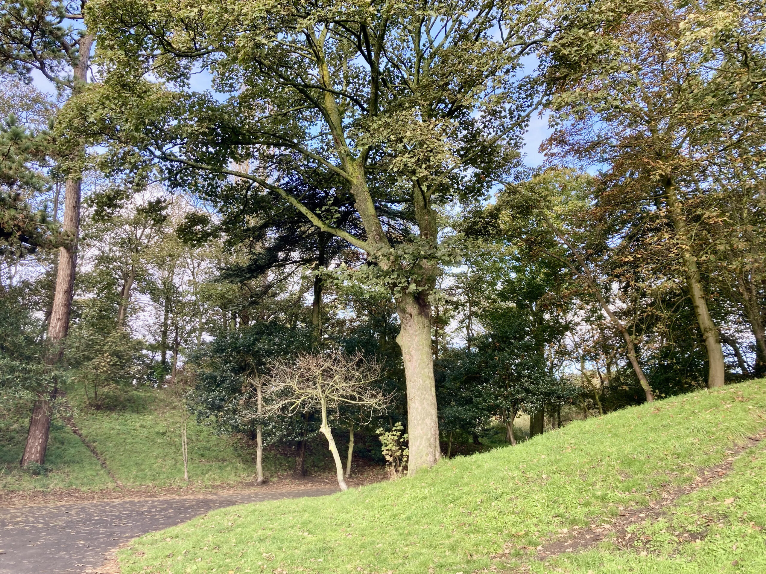 Hesketh park in Southport. Photo by Andrew Brown Stand Up For Southport