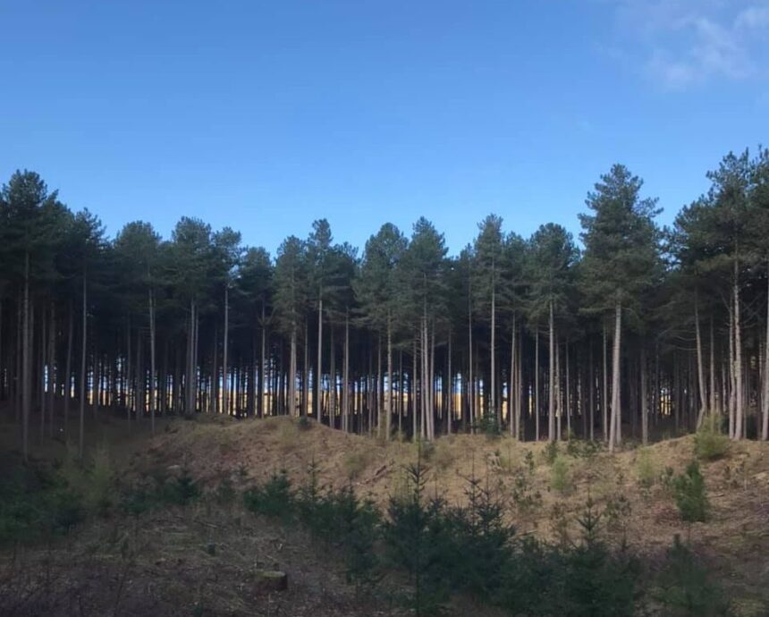 Ainsdale Nature Reserve in Southport. Photo by Andrew Brown Stand Up For Southport