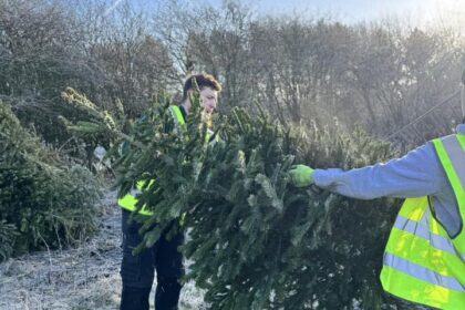 Volunteers supporting Queenscourt Hospice have collected an incredible 1,800 Christmas trees from local homes across Southport, Formby and West Lancashire in just four days