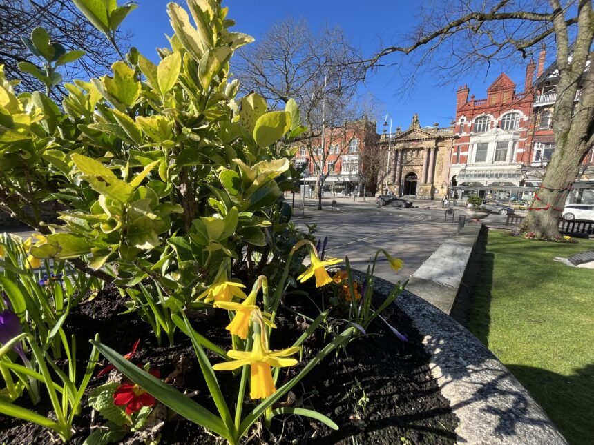 A scenic photo on Lord Street in Southport. Photo by Andrew Brown Stand Up For Southport