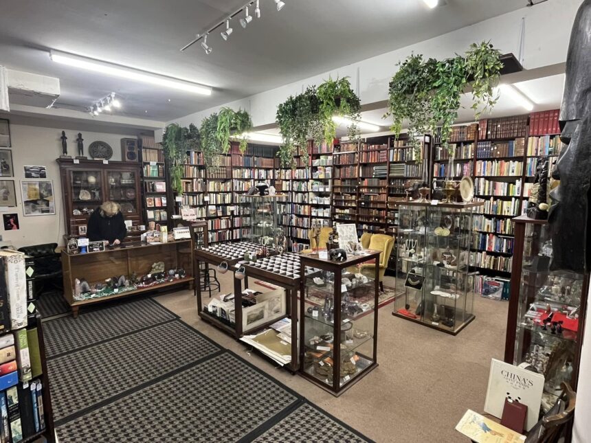 Parkinson's Books on Lord Street in Southport. Photo by Andrew Brown Stand Up For Southport