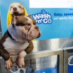 Jollyes is beefing up Operation Cool Dog