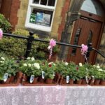 Families in Southport can collect free plants to reflect and pray for those affected by the Southport tragedy thanks to a partnership between Southport churches and Arden Lea Nurseries in Hesketh Bank