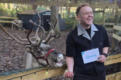 Buddy the adventurous reindeer