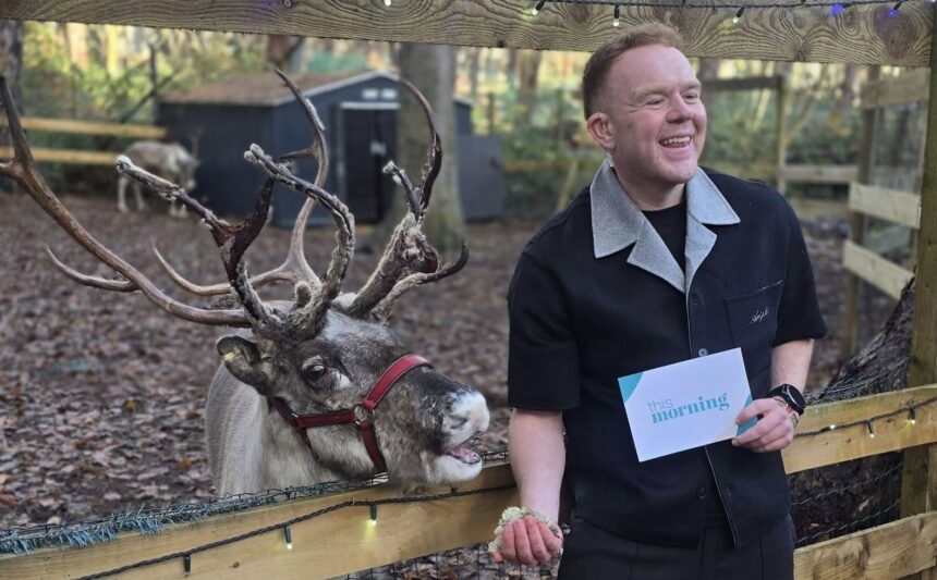 Buddy the adventurous reindeer