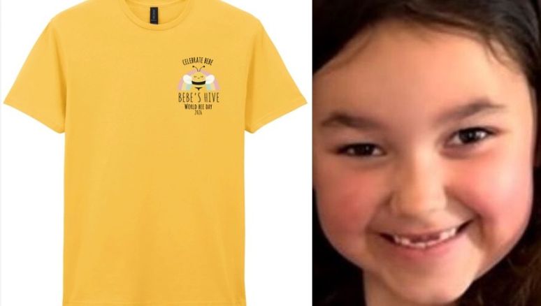 On Wednesday 20th May 2026, Stand Up For Southport and Bebes Hive CIC invite everyone - schools, businesses, families, and individuals - to wear yellow for World Bee Day in honour of Bebe King