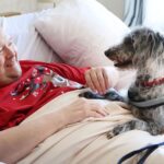 Pet therapy dog Negan visiting Dovehaven's Manchester House in Southport