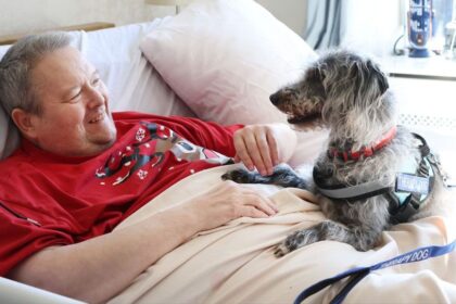 Pet therapy dog Negan visiting Dovehaven's Manchester House in Southport