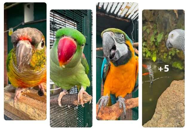 The Botanic Gardens Aviary in Churchtown in Southport