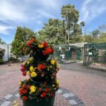 The Aviary at Botanic Gardens in Churchtown in Southport. Photo by Andrew Brown Stand Up For Southport