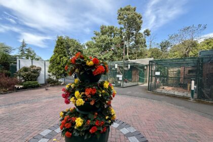 The Aviary at Botanic Gardens in Churchtown in Southport. Photo by Andrew Brown Stand Up For Southport