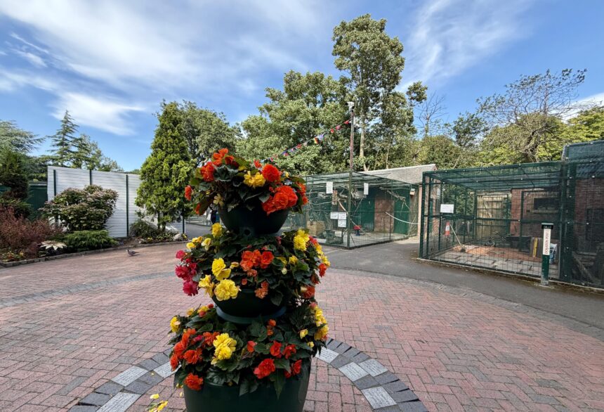 The Aviary at Botanic Gardens in Churchtown in Southport. Photo by Andrew Brown Stand Up For Southport