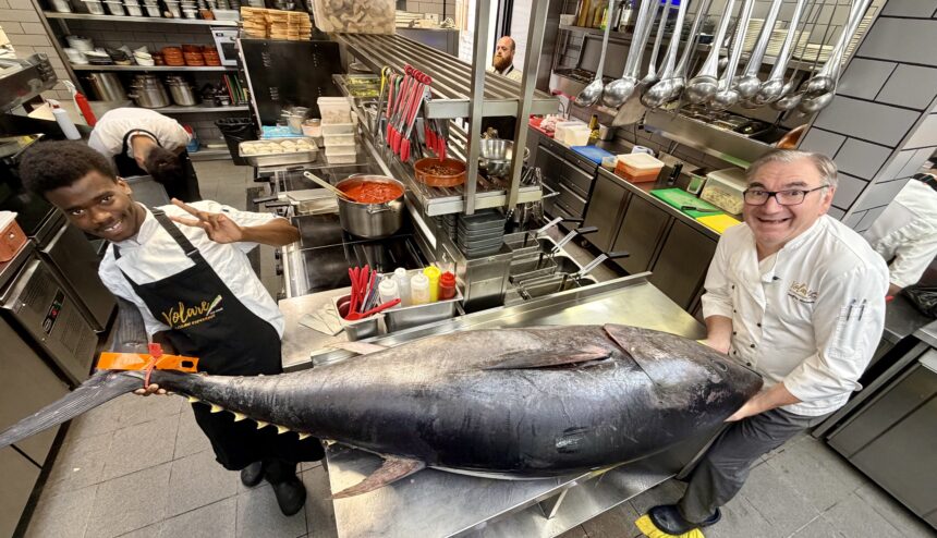 Volare restaurant on Lord Street in Southport has just landed its biggest ever tuna. Photo by Andrew Brown Stand Up For Southport