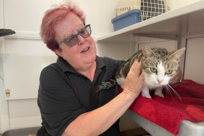 Lynn Jefferson is pictured with Ivy, one of several pregnant rescues currently under Woodlands' care
